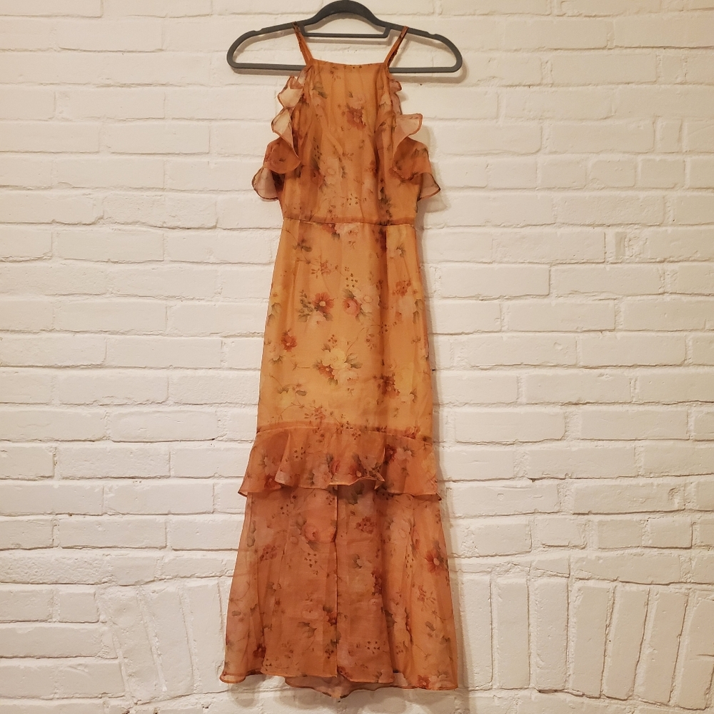 Showpo Midi Dress 4